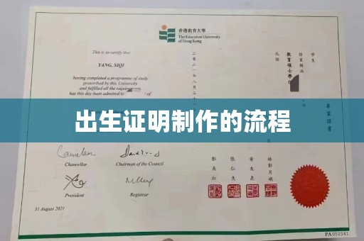 弋江出生证明制作的流程